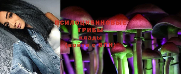 COCAINE Долгопрудный